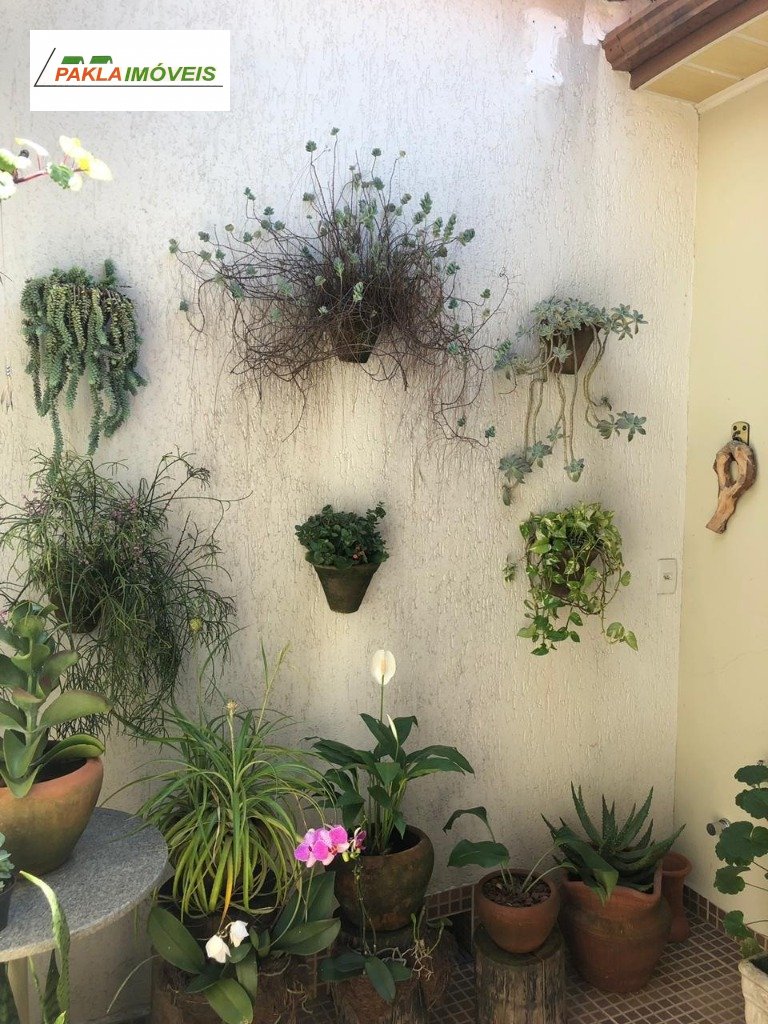 Imagem da propriedade 7