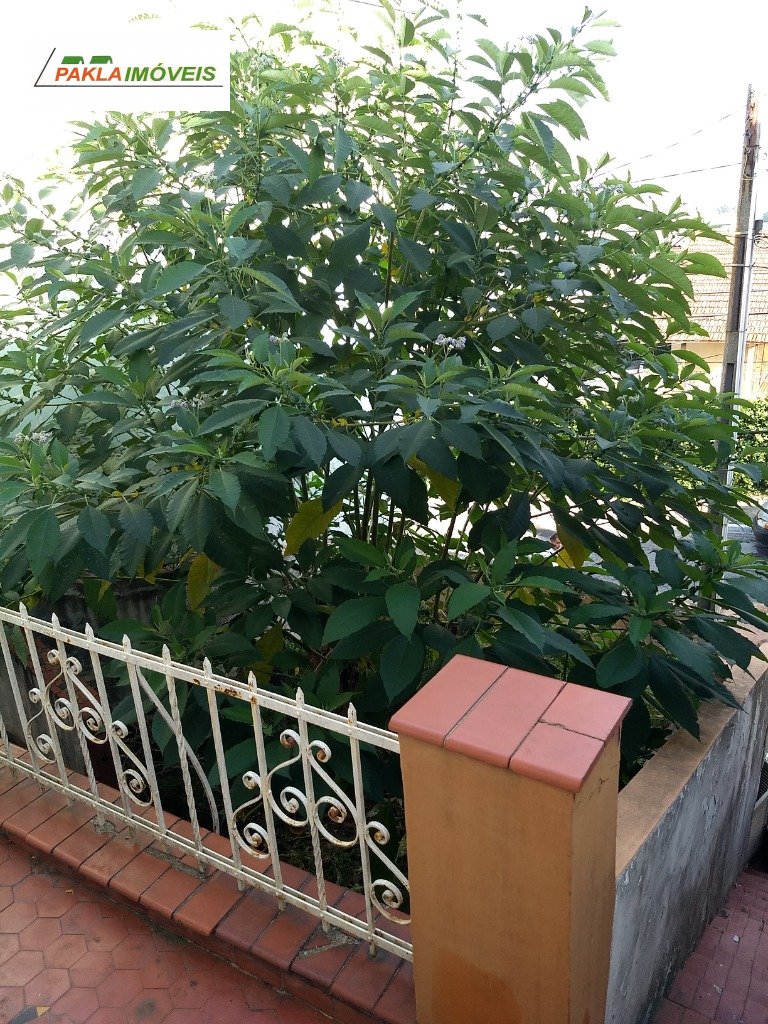 Imagem da propriedade 20