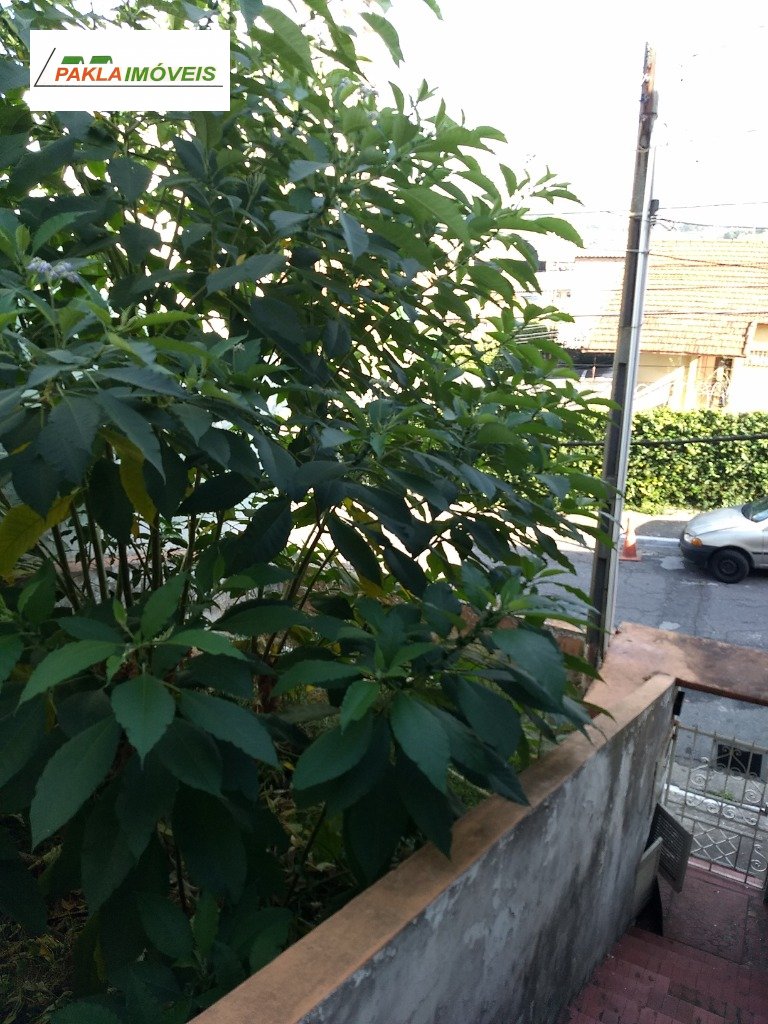 Imagem da propriedade 26