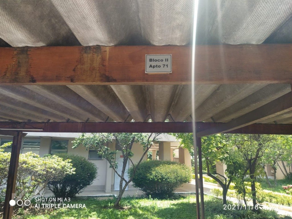 Imagem da propriedade 11