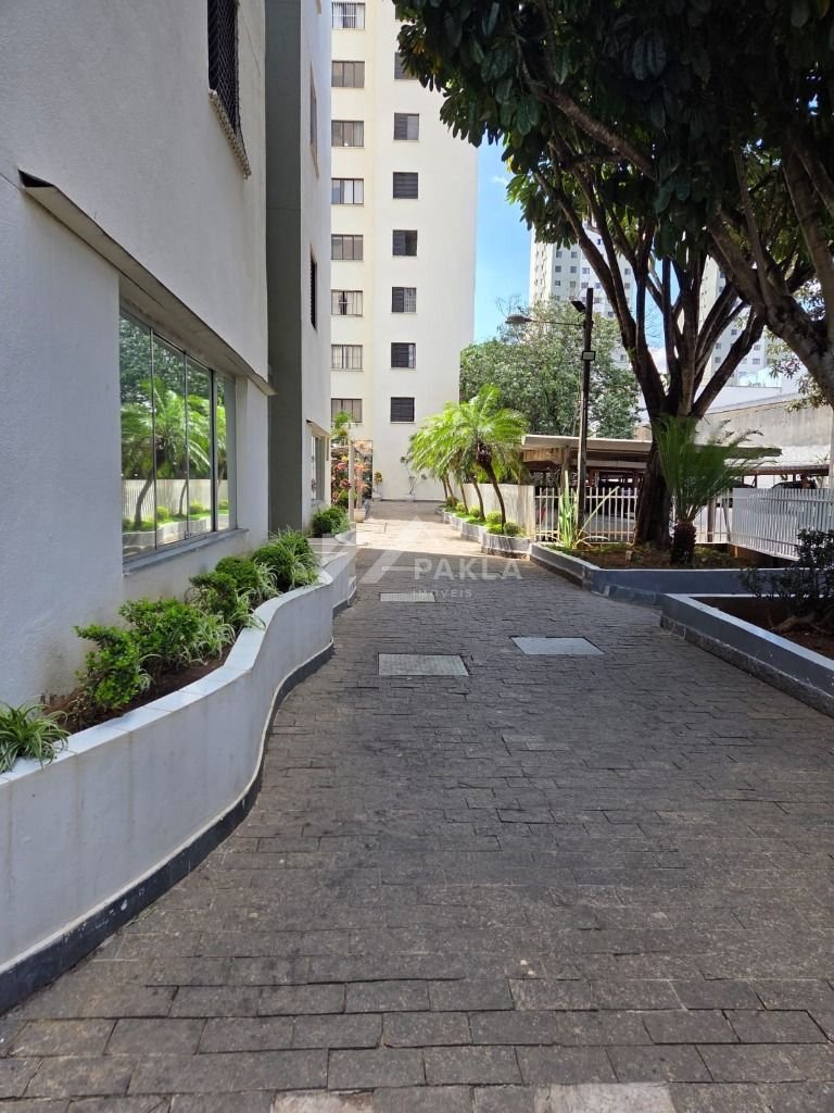 Imagem da propriedade 23