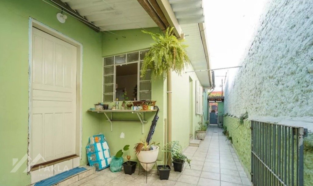 Imagem da propriedade 3