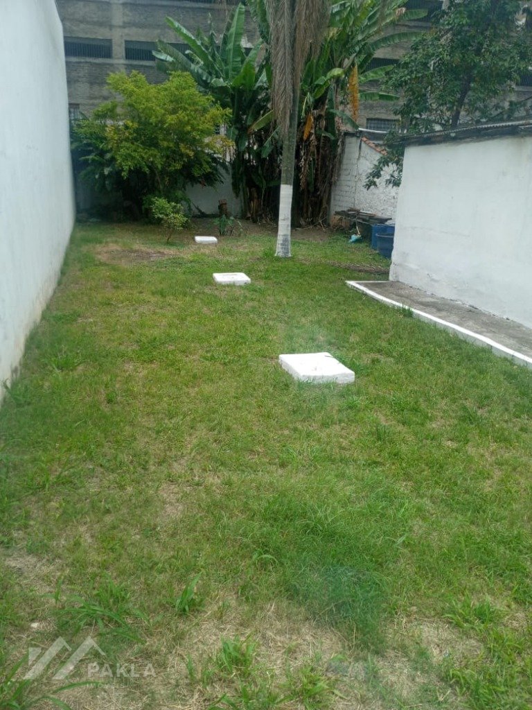 Imagem da propriedade 5