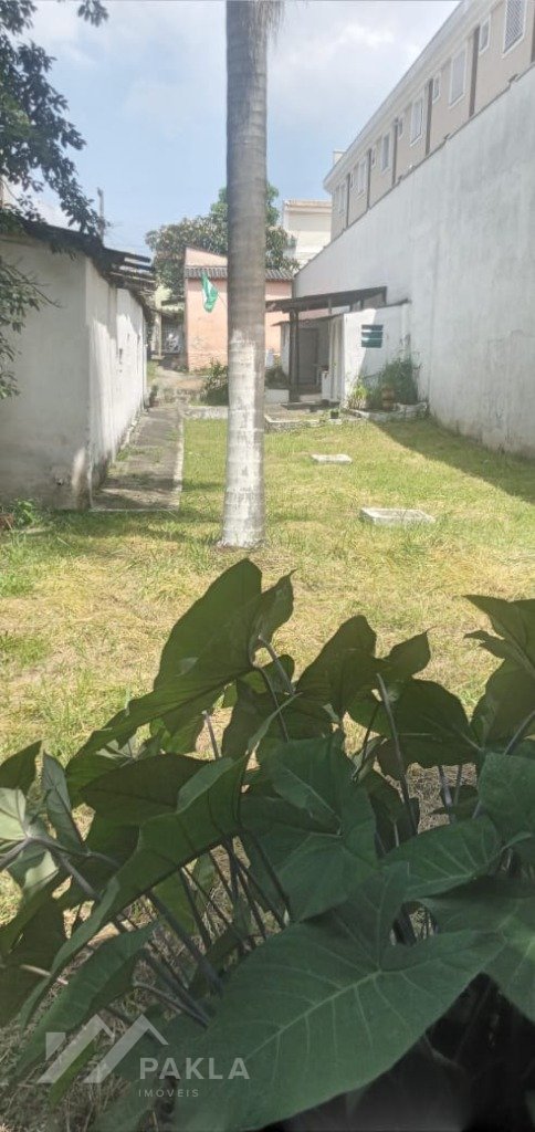 Imagem da propriedade 6