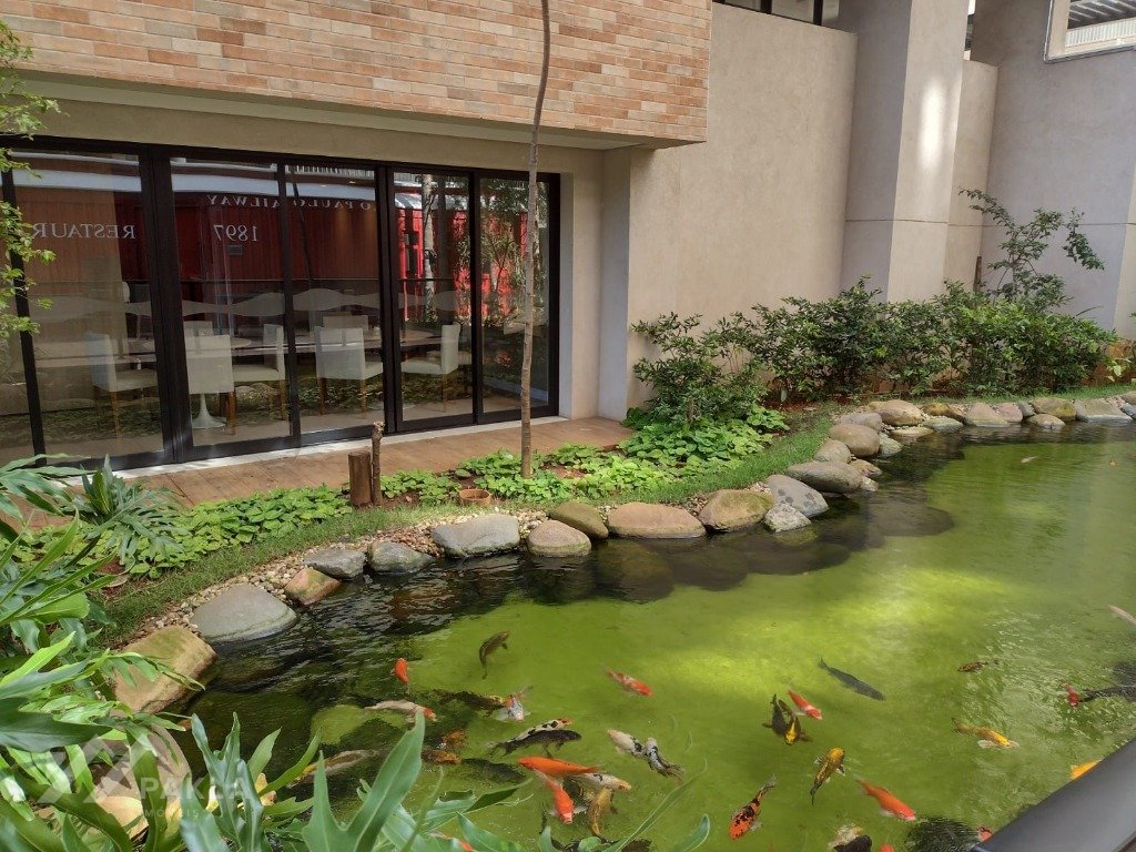 Imagem da propriedade 32