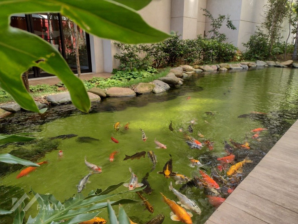 Imagem da propriedade 39