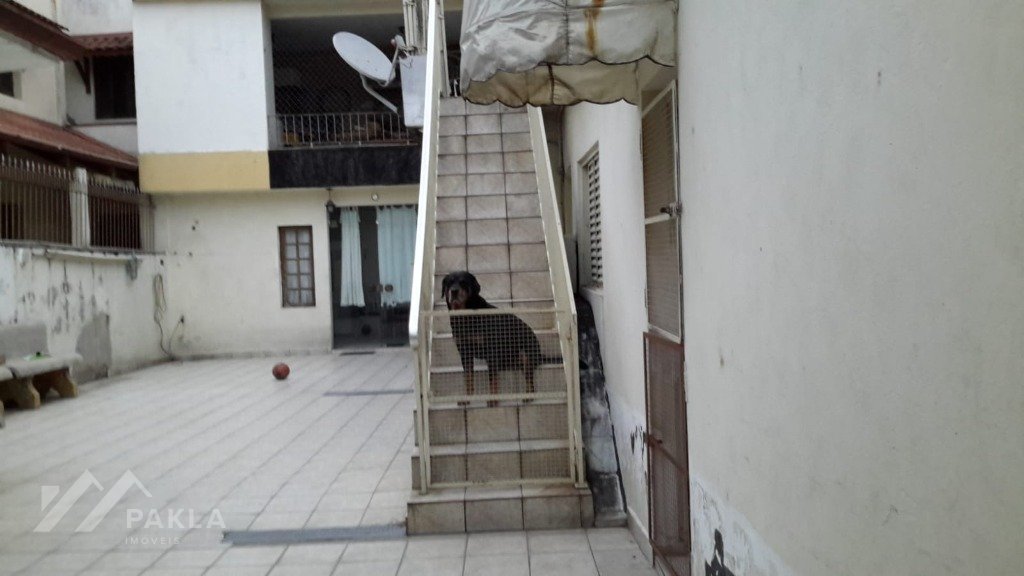 Imagem da propriedade 6