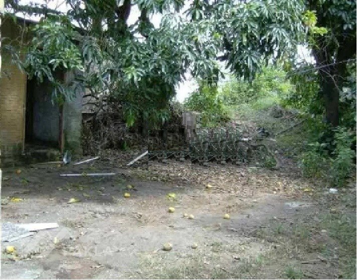 Imagem da propriedade 8