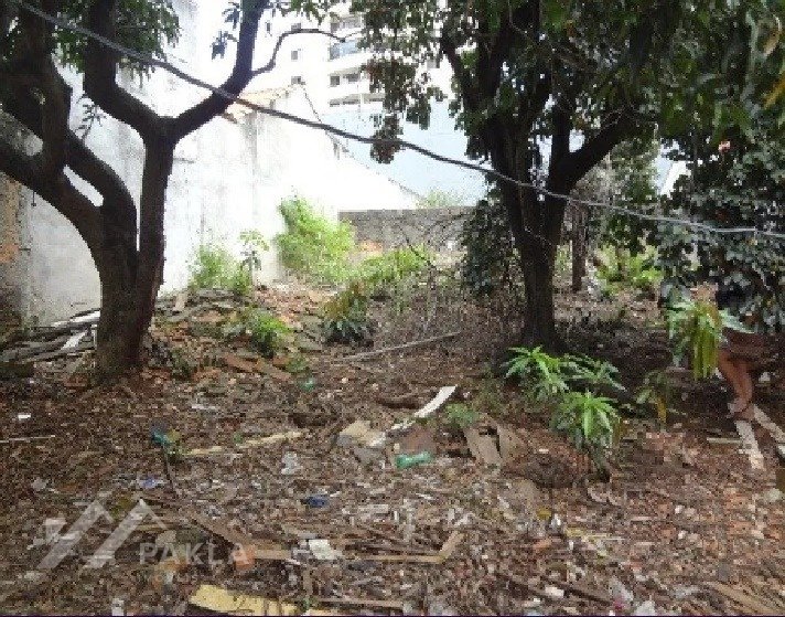 Imagem da propriedade 9