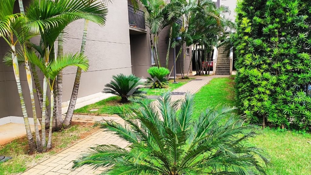 Imagem da propriedade 14