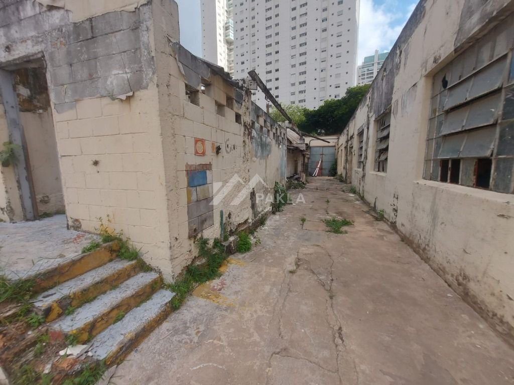 Imagem da propriedade 6
