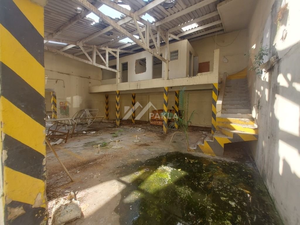 Imagem da propriedade 7