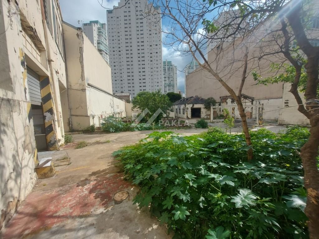 Imagem da propriedade 8