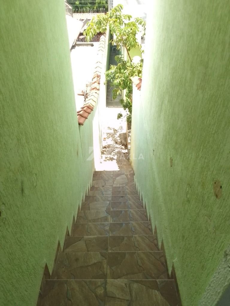 Imagem da propriedade 15