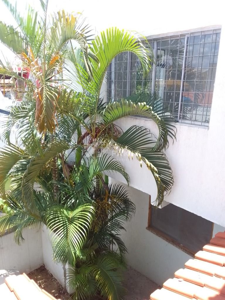 Imagem da propriedade 32