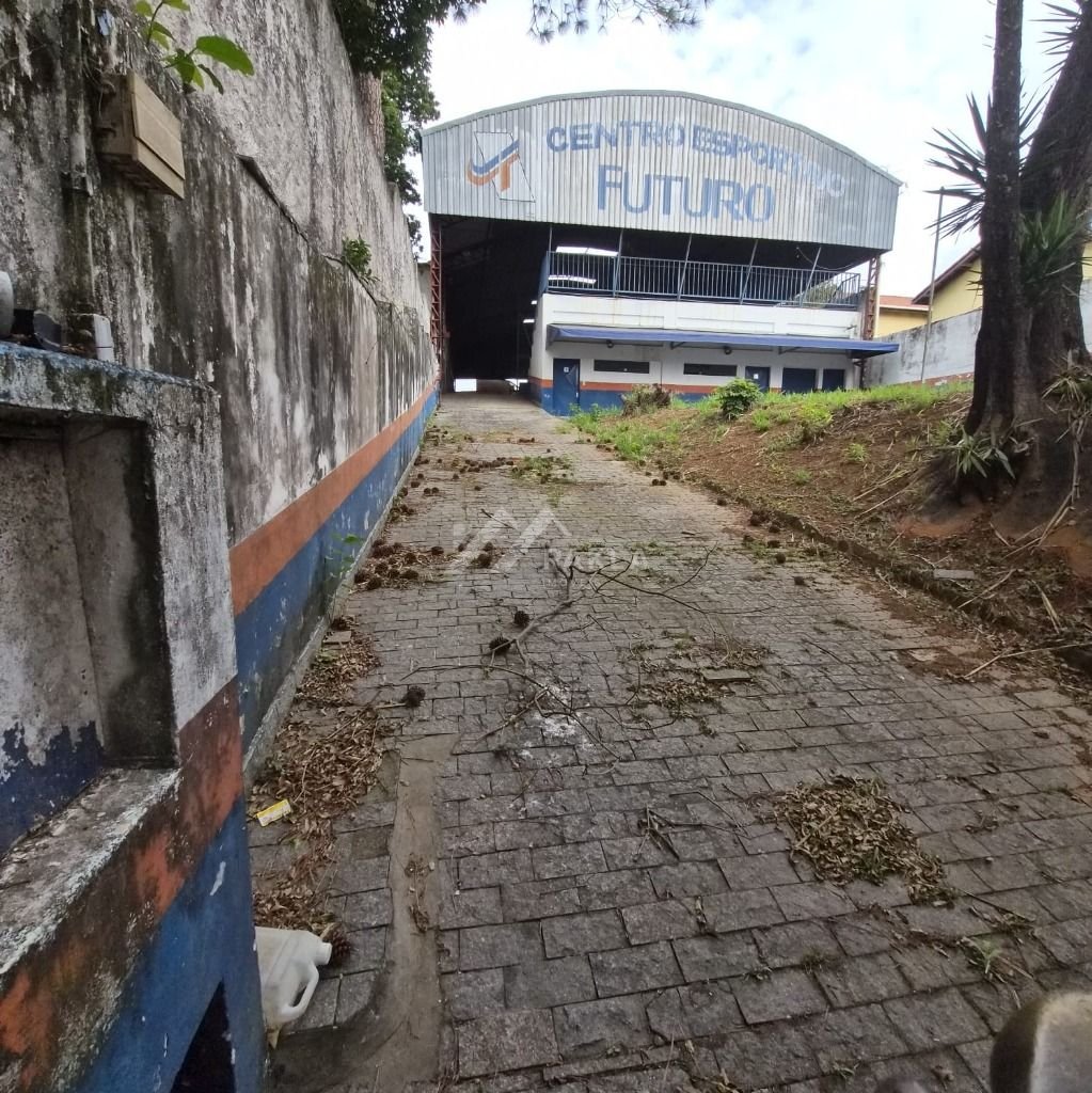 Imagem da propriedade 14