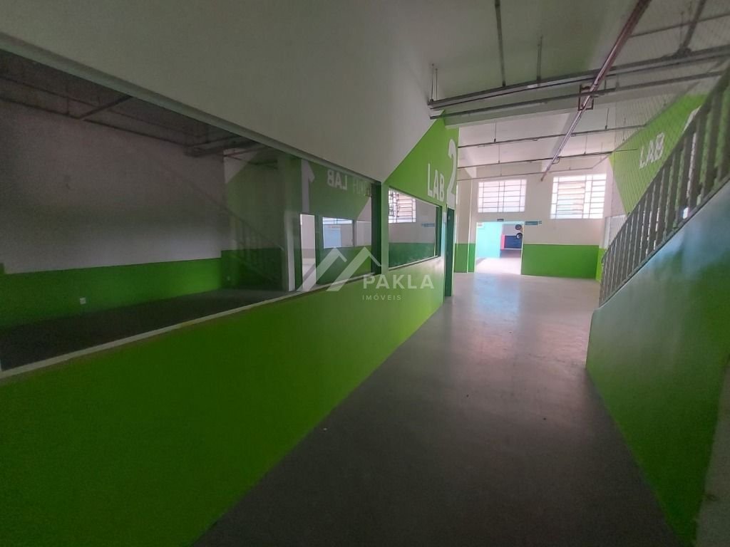 Imagem da propriedade 5