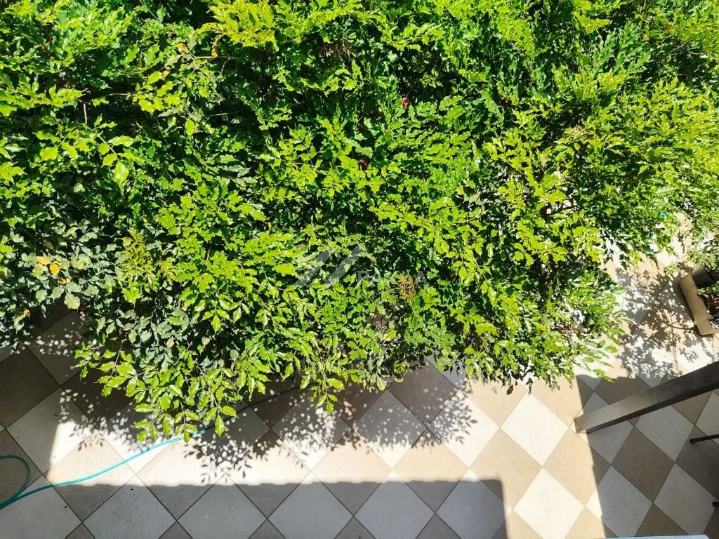 Imagem da propriedade 30