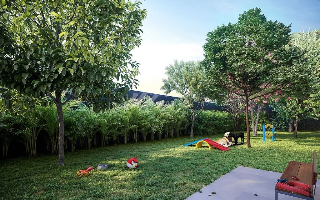 Imagem da propriedade 16